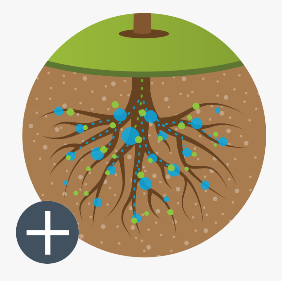 Hydrogel Vit - Circle, Transparent Clipart