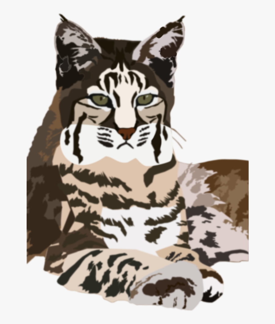 Transparent Watercolor Texture Png - Lynx Vector Png, Transparent Clipart