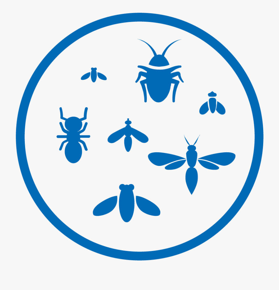Spraying In Insects Clipart, Transparent Clipart
