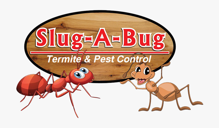 Slug A Bug Inc - Cartoon, Transparent Clipart