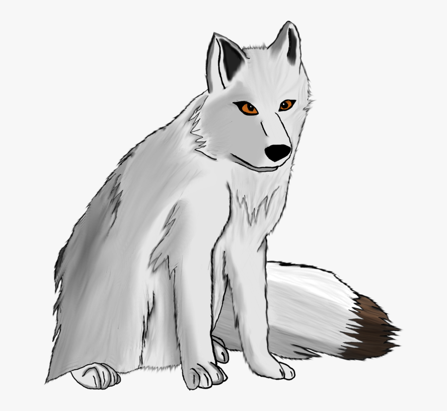 Arctic Fox, Transparent Clipart