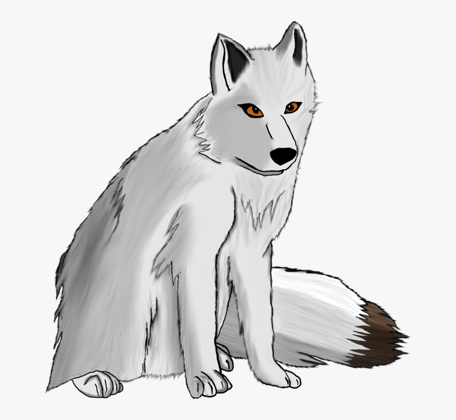 Arctic Fox , Free Transparent Clipart - ClipartKey