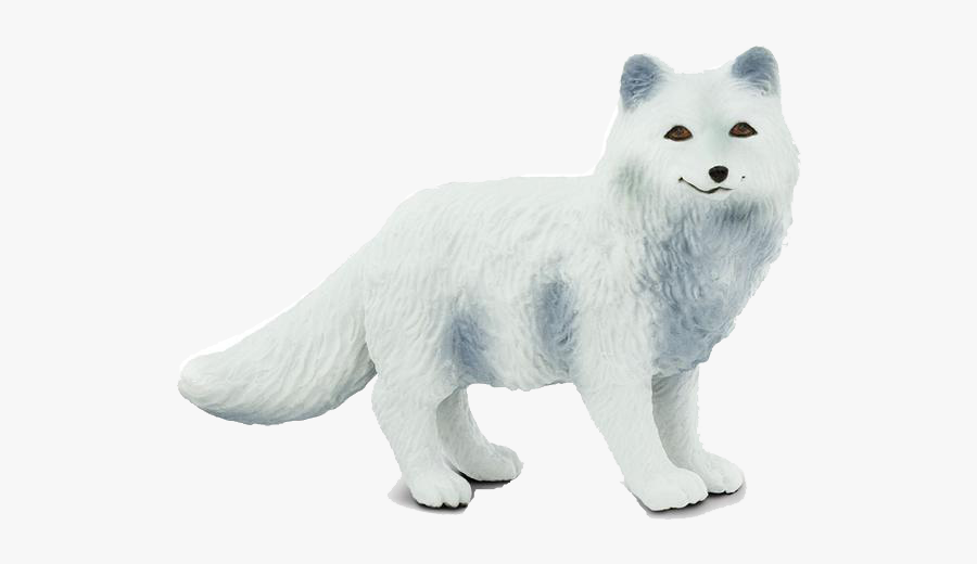 Animal Figure,white,arctic - Safari Ltd Arctic Fox, Transparent Clipart