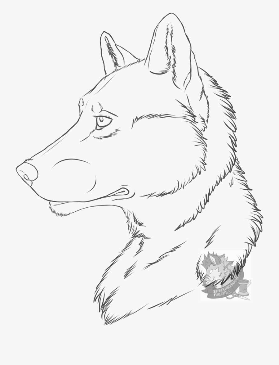 [drawings] Random Wolf - Drawing Art Line Wolf, Transparent Clipart