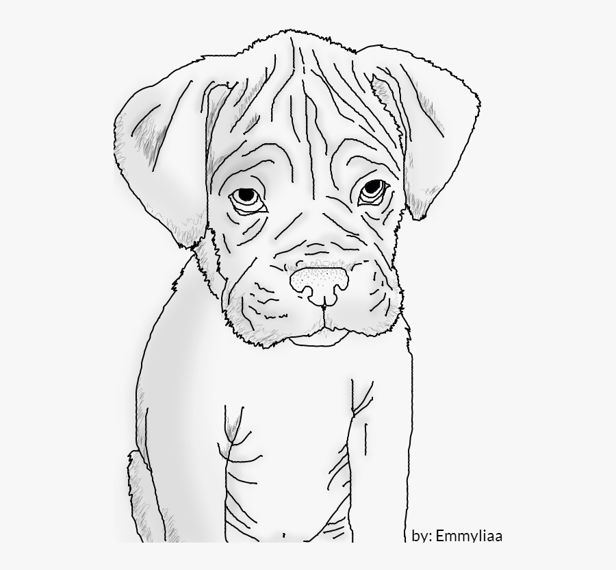 Drawn Puppy Boxer Dog - Easy Boxer Dog Drawing, Transparent Clipart