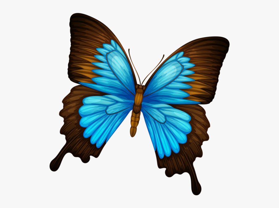 Real Real Life Butterfly Wings, Transparent Clipart