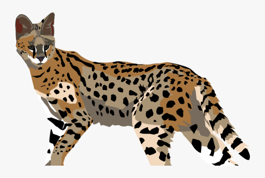 Ocelot - Cheetah, Transparent Clipart