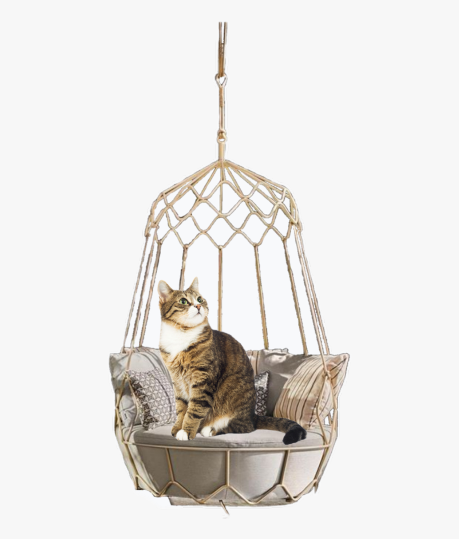 Freetoedit Schammocks Hammocks - Domestic Short-haired Cat, Transparent Clipart