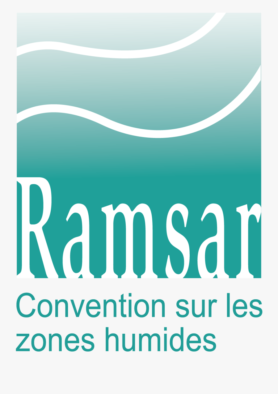 Transparent Graphic Designer Png - Ramsar Convention On Wetlands, Transparent Clipart