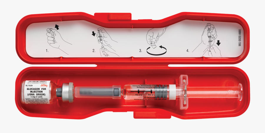 Glucagon, Transparent Clipart