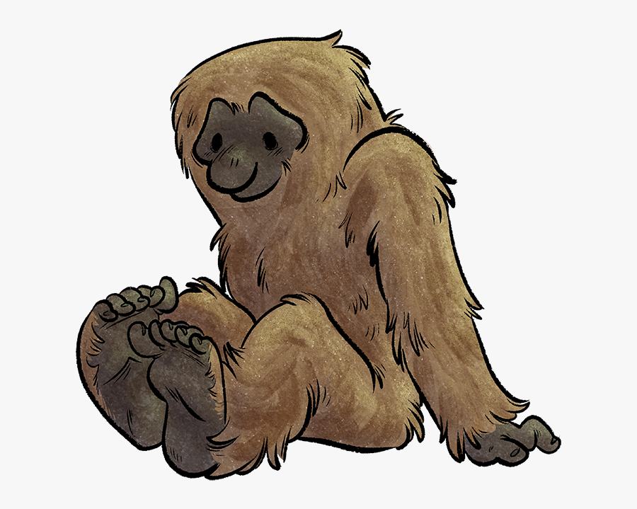 Sasquatch Bigfoot Drawing Youtube