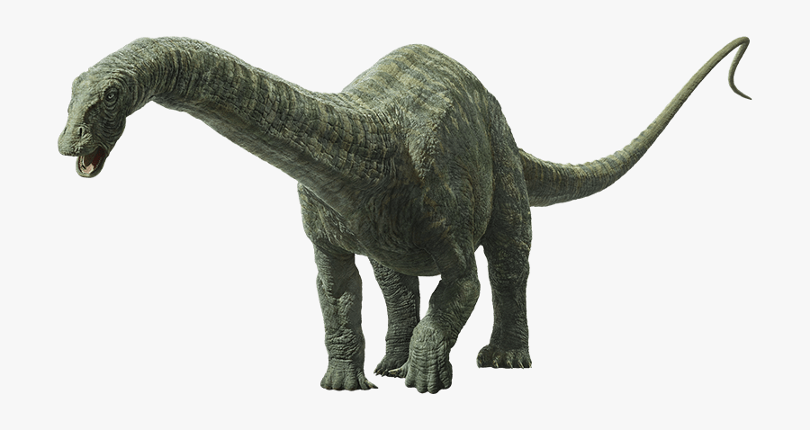 brontosaurus brachiosaurus apatosaurus