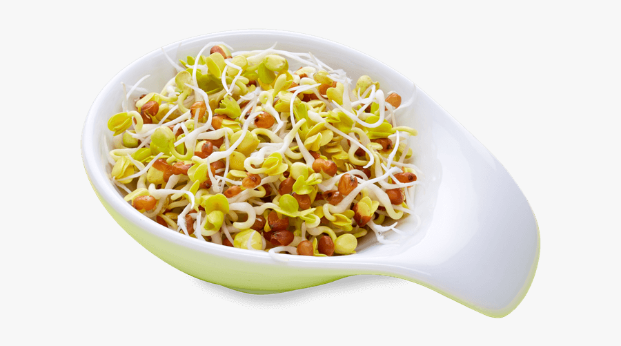 Radieschen - Weight Loss Sprouts Salad, Transparent Clipart
