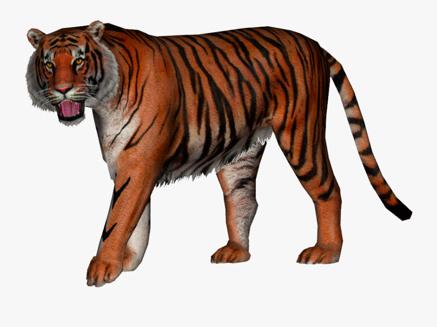 Transparent Tiger Png - American Lion Vs Ngandong Tiger, Transparent Clipart