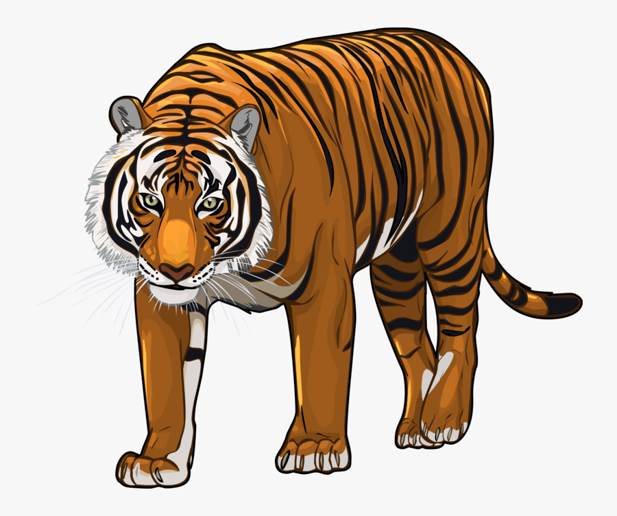 Bengal Tiger Clipart - Transparent Background Tiger Cartoon Png, Transparent Clipart