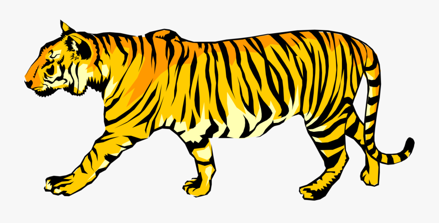 Vector Illustration Of Royal Bengal Tiger From From - Royal Bengal Tiger Clipart, Transparent Clipart