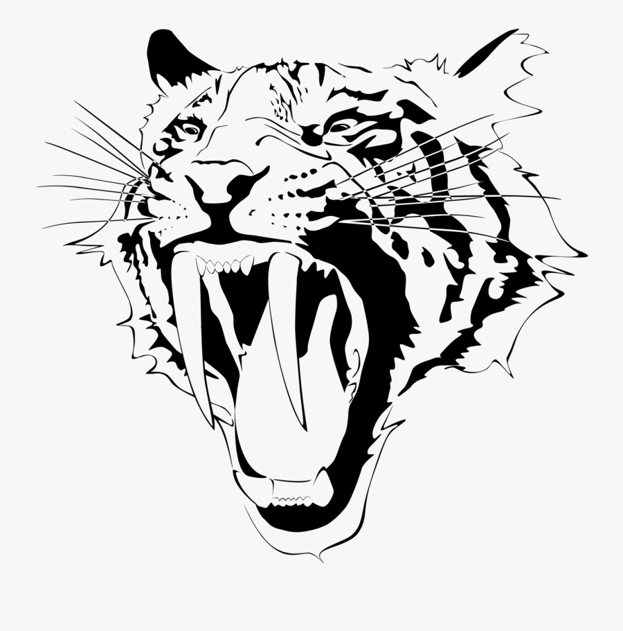 Transparent Saber Tooth Tiger Png - Saber Tooth Tiger Drawing, Transparent Clipart