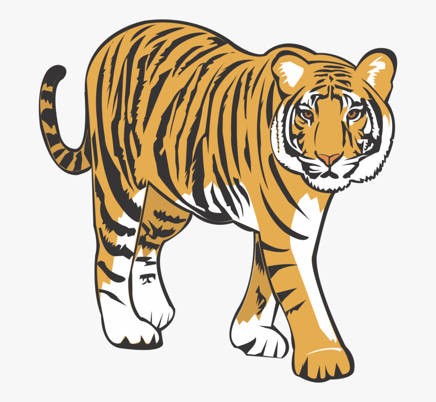 Tiger,wildlife,snout - Bengal Tiger, Transparent Clipart