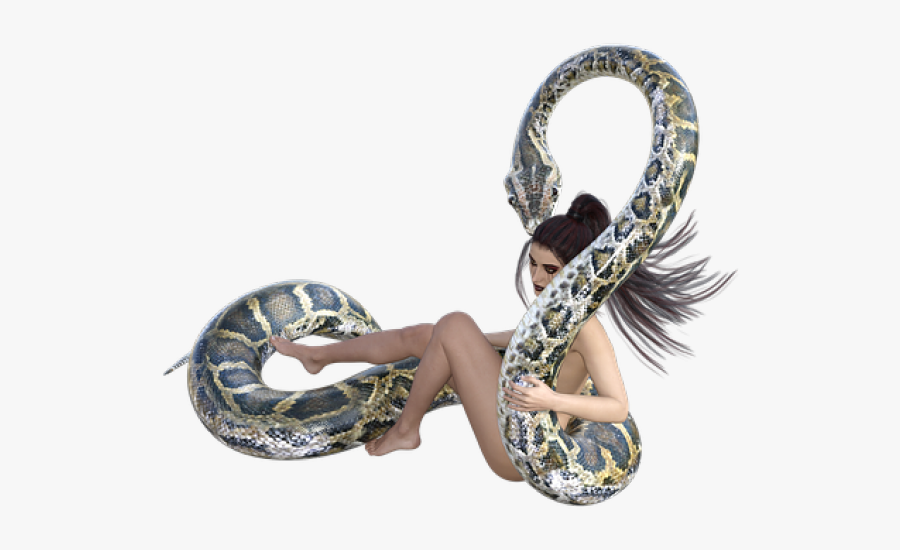 Boa Clipart Big Snake - Anaconda Position Love Island, Transparent Clipart