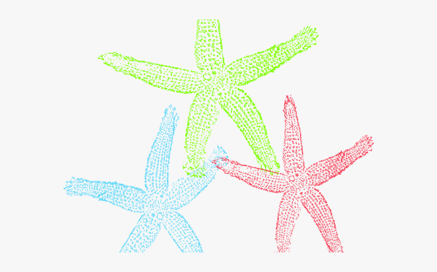 Starfish, Transparent Clipart