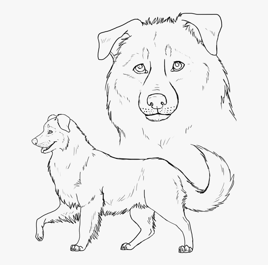 Trench Drawing Shepard - Puppy Australian Shepherd Drawings, Transparent Clipart
