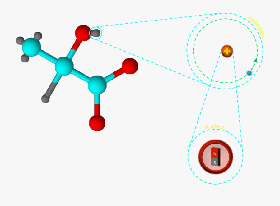 Nucleus Transparent Carbon - Circle, Transparent Clipart