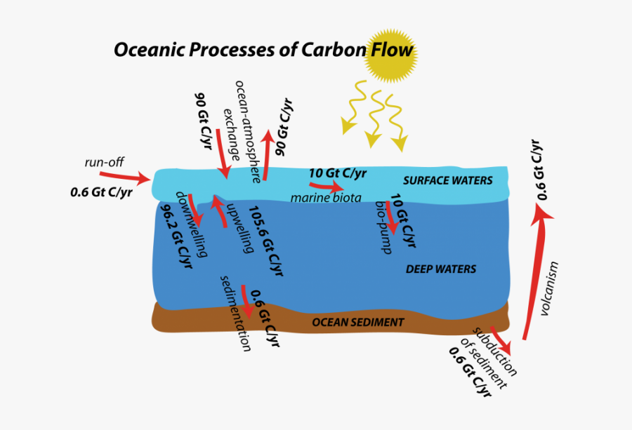 Clip Art Image Of Carbon Cycle - Simple Marine Carbon Cycle, Transparent Clipart