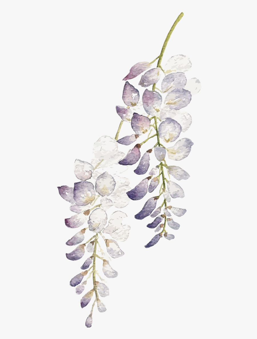 Transparent Wisteria Png - Transparent Background Watercolor Lavender Wreath, Transparent Clipart