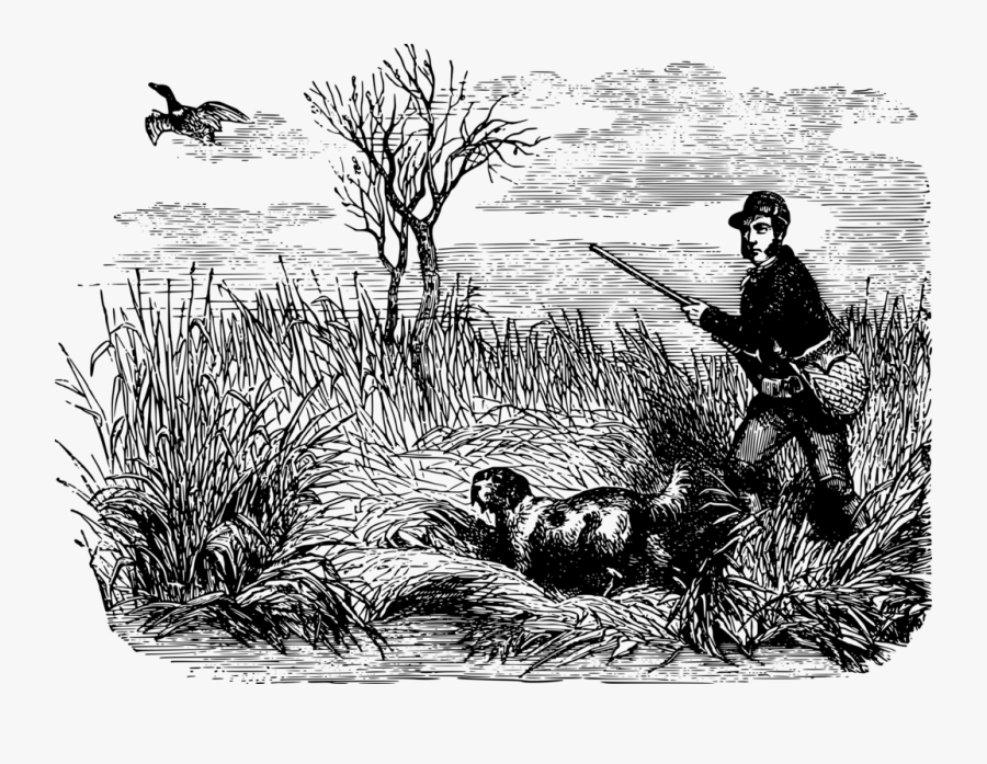 Flightless Bird,grass Family,water Bird - Black And White Duck Hunt Clipart, Transparent Clipart