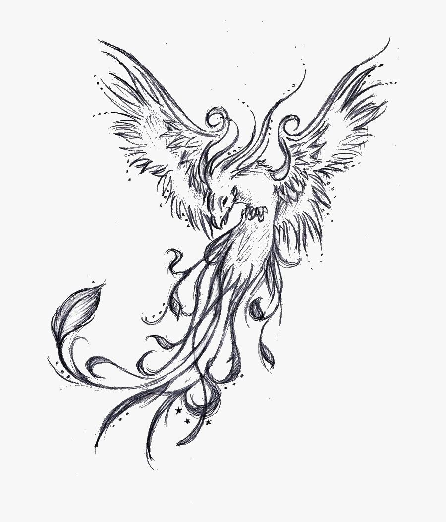 Tattoo Phoenix Sleeve Legendary Drawing Creature Phoenix Rising From The Ashes Drawing Free Transparent Clipart Clipartkey