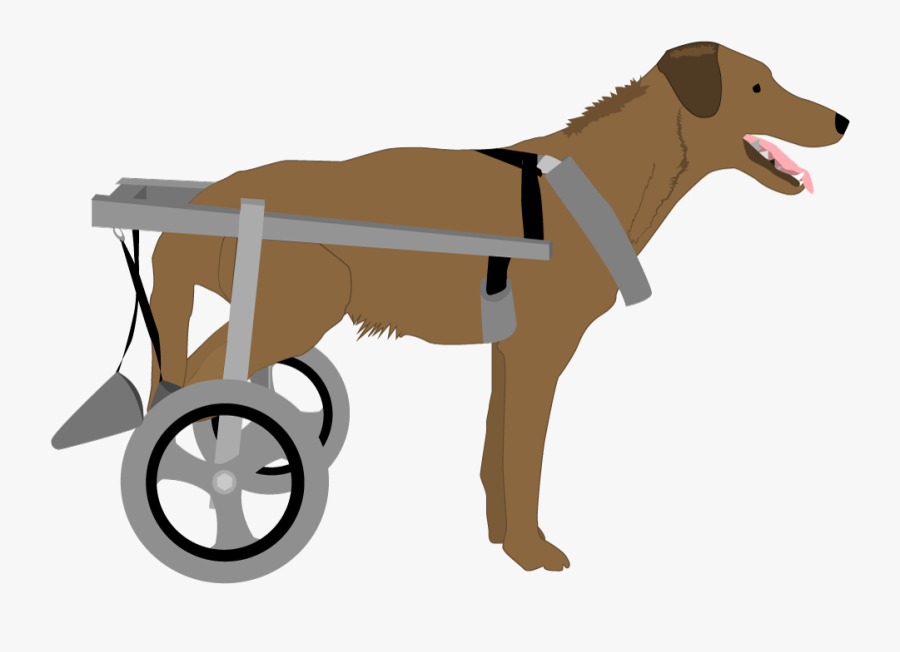 Dog With Wheelchair - Dog In Wheel Chair Clip Art, Transparent Clipart