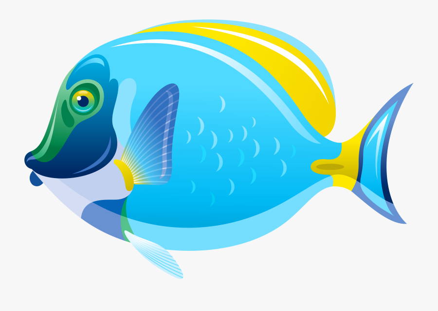Cliparts For Free - Transparent Background Fish Clipart, Transparent Clipart
