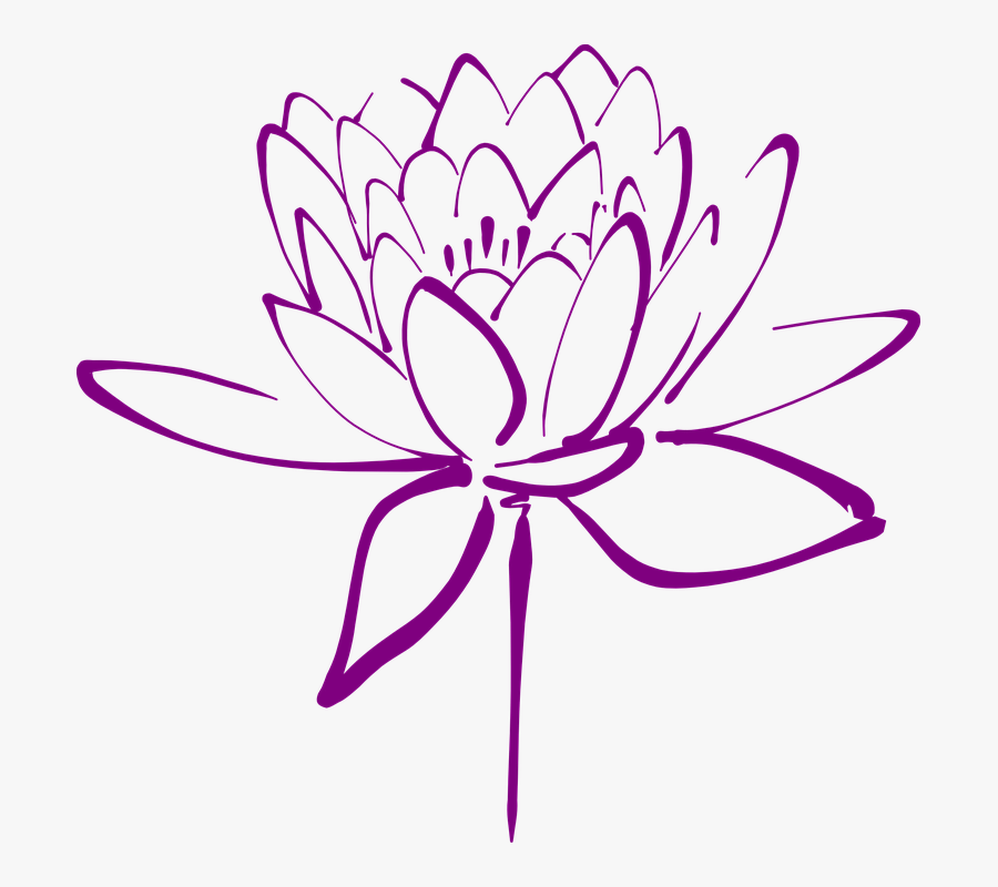 Lotus, Flower, Blossom, Petals, Decorative, Blooming - Lotus Flower Graphic, Transparent Clipart