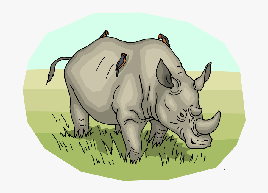 Cartoon Rhino Clipart - Rhino Coloring Pages, Transparent Clipart