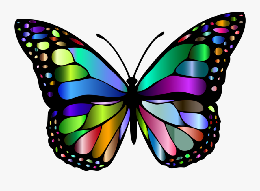 Butterfly Pictures Of Insects, Transparent Clipart