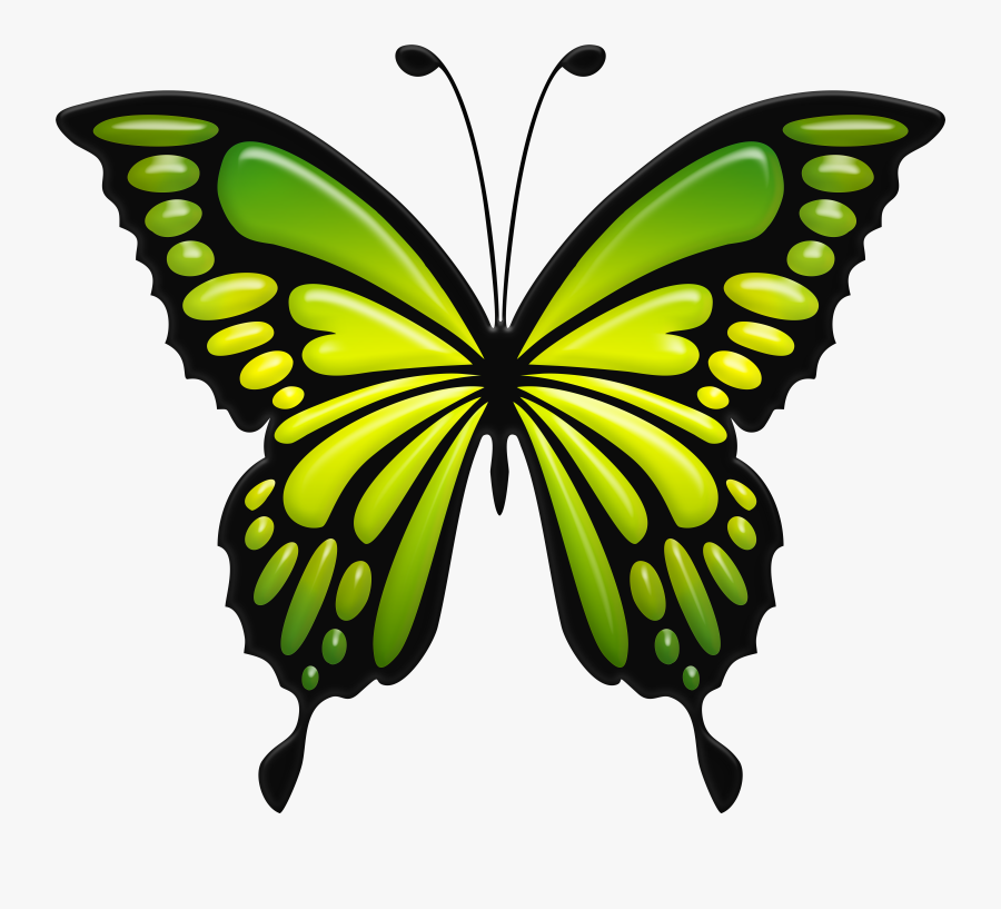 Green Butterfly Png Clip Art Image, Transparent Clipart