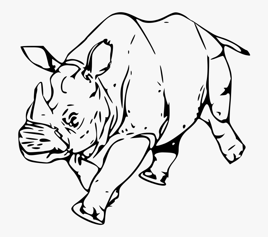 Rhinoceros - Vektor Badak, Transparent Clipart