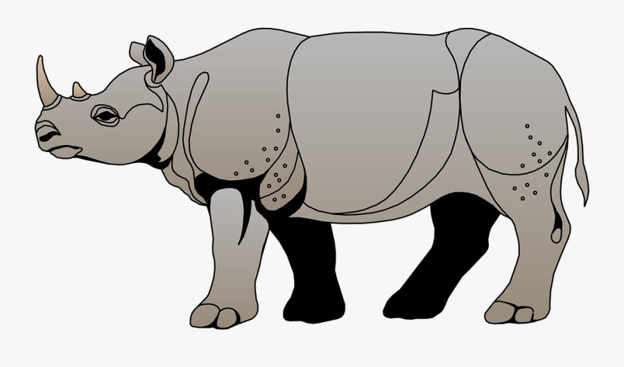 Rhino Animal Clipart - Rhinoceros Clipart, Transparent Clipart