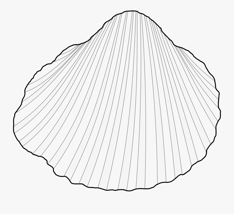 Clam Shell Clipart Download Cockles Clip Art - Cockles Clip Art , Free ...