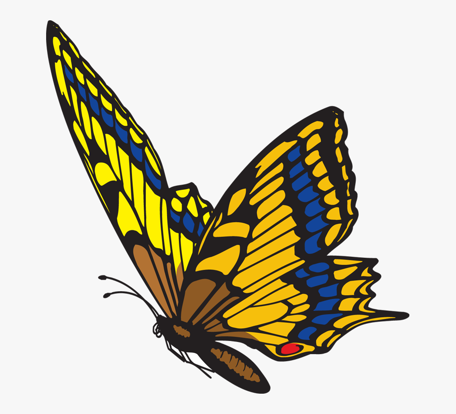 Monarch Butterfly Pictures Butterfly Flying Clipart - ิ Butterfly Animated Gif, Transparent Clipart