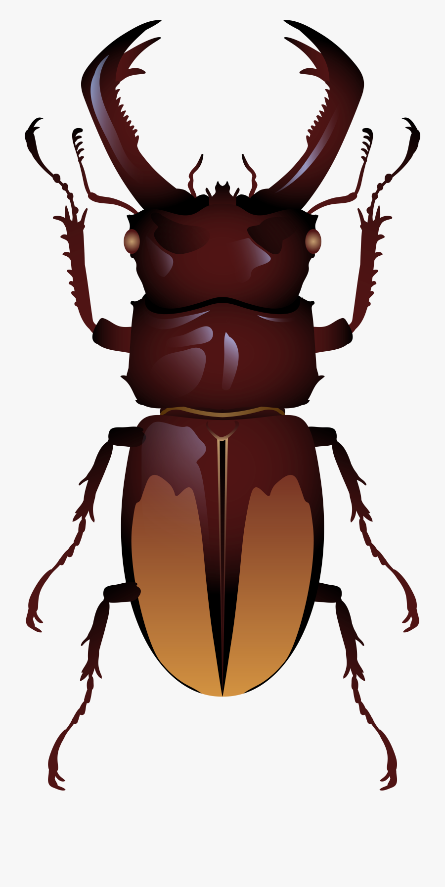 Beetle Png Clip Art - Rhino Beetle Clip Art, Transparent Clipart