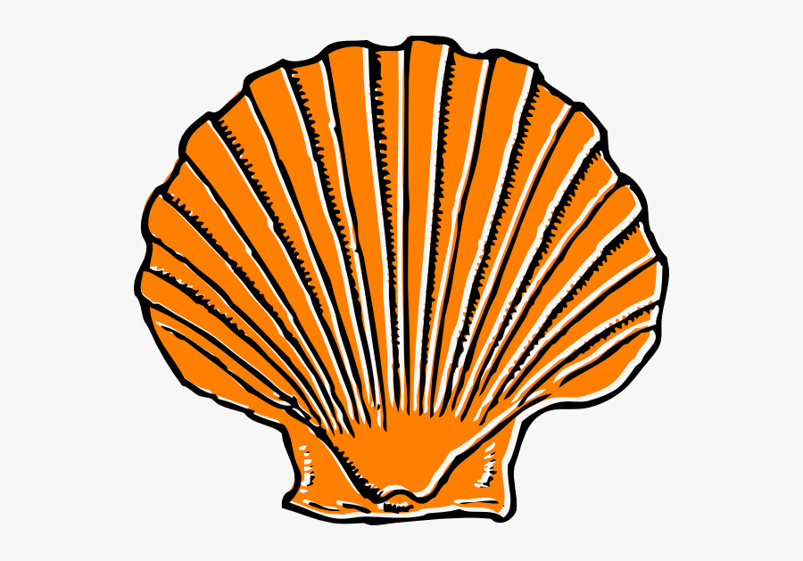 Best Photos Of Cartoon - Orange Seashell Clipart, Transparent Clipart