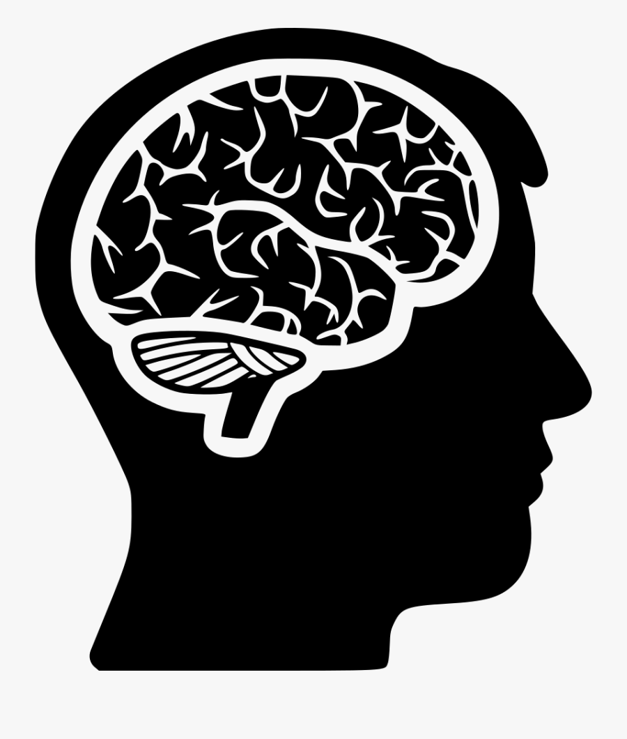 Brain Clipart Head - Brain In Head Png, Transparent Clipart