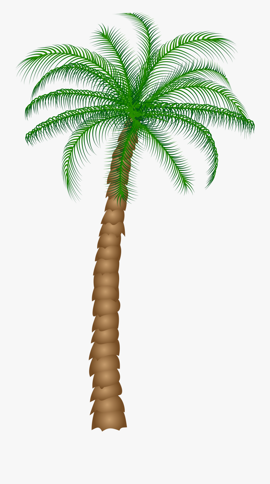 Date Palm Fruit Tree Clipart - Palm Tree Transparent Background, Transparent Clipart