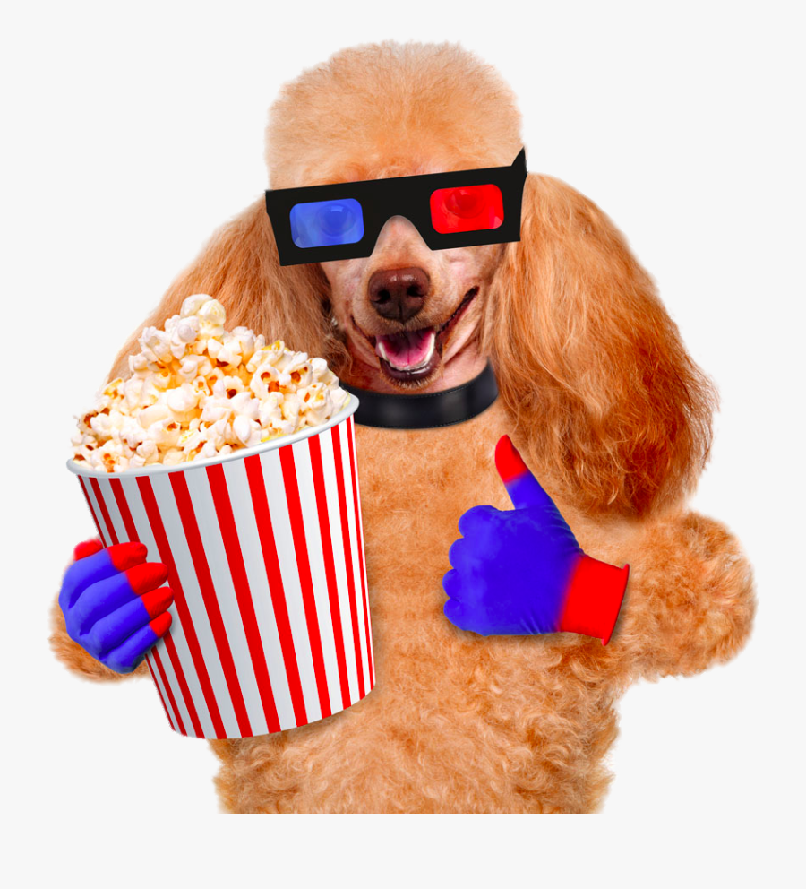 Cinema Photography Pug Dog Popcorn Film Stock Clipart - Perro Cepillo De Dientes, Transparent Clipart