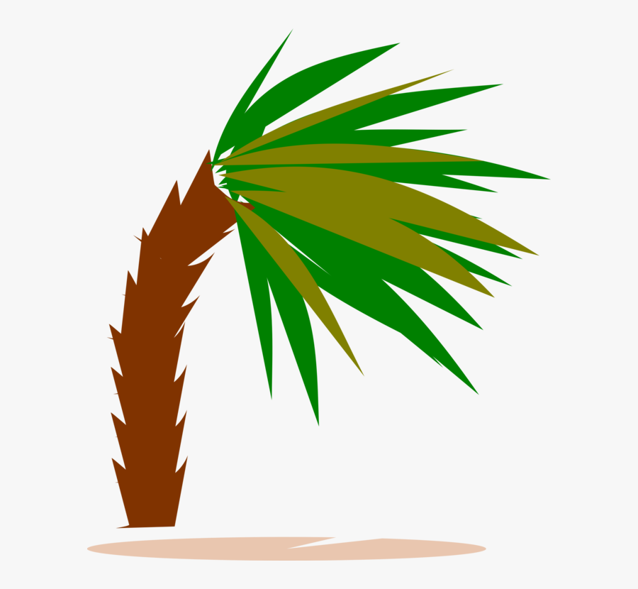 Trees Wind Coconut Woody - Palm Trees, Transparent Clipart