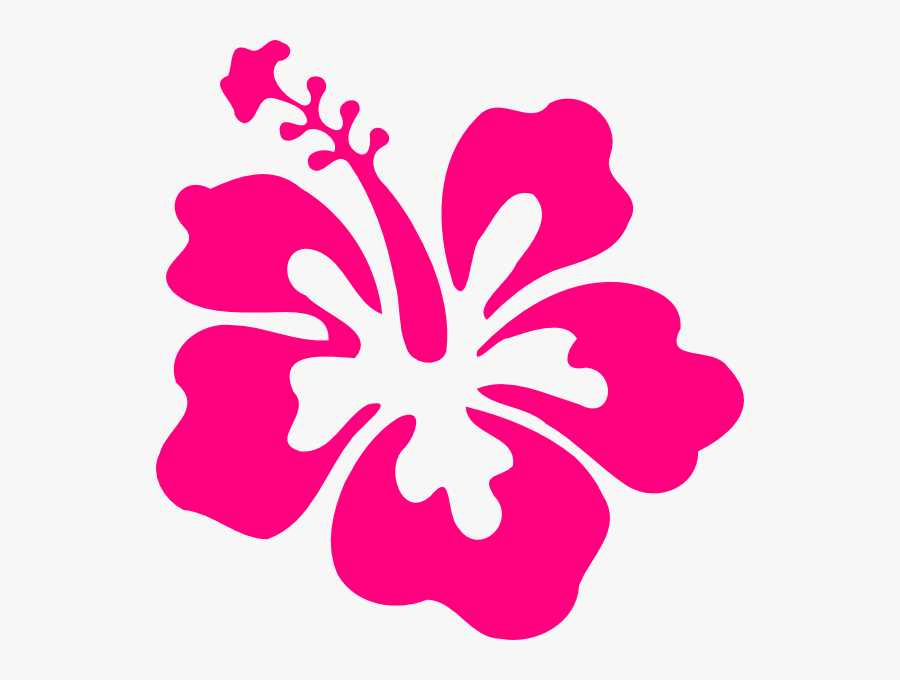 Pink Hibiscus Flower Clipart, Transparent Clipart