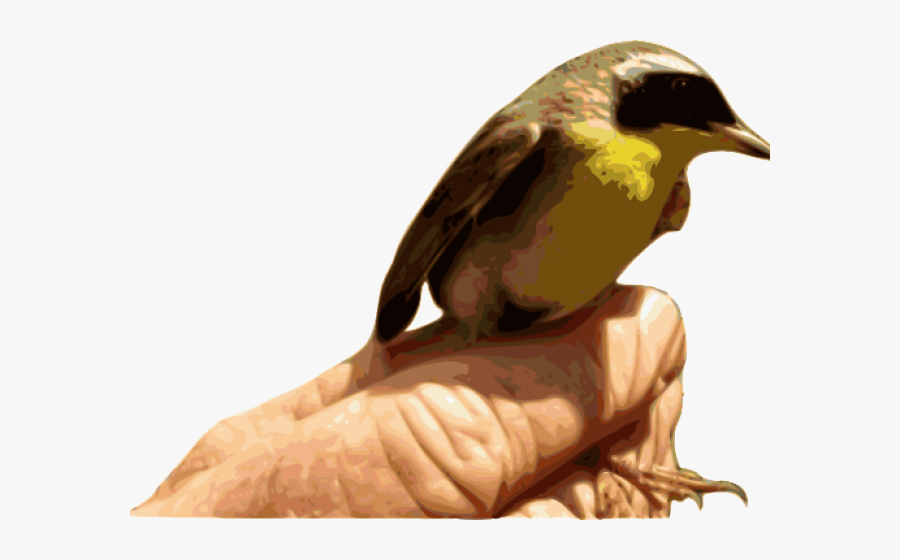 Songbird Clipart Brown Bird - Bird, Transparent Clipart