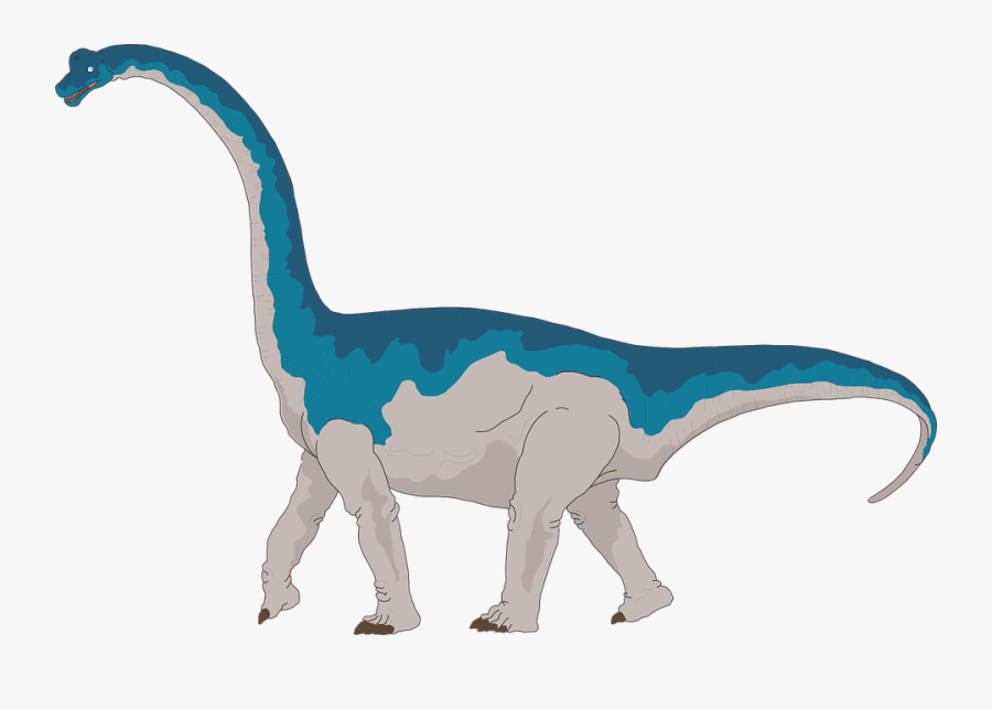 Dinosaur, Ancient, Reptile, Prehistoric, Jurassic - Brachiosaurus Long Neck Dinosaur Clipart, Transparent Clipart