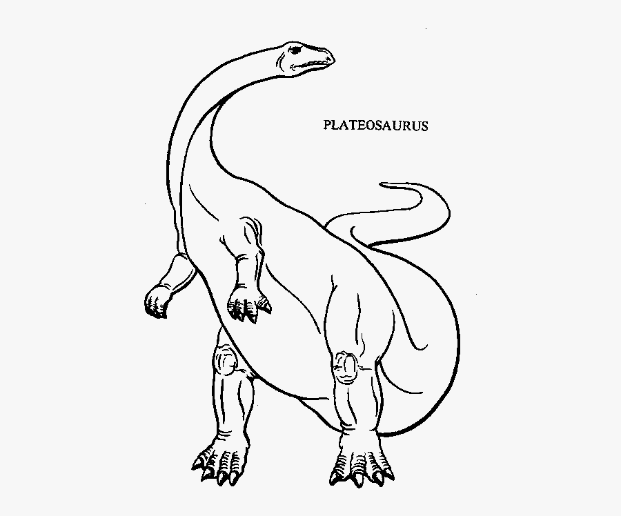 Long Neck Dinosaur Coloring Page - Line Art, Transparent Clipart